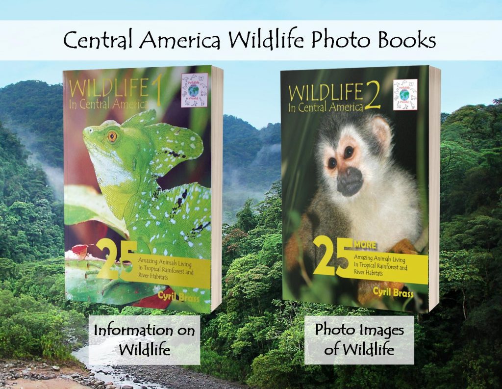 Wildlife Photography Books for Sale Brass Photography